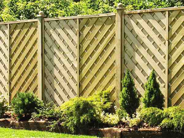 Fencing & Trellis